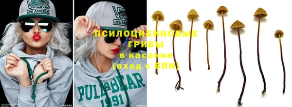 крисы Белокуриха