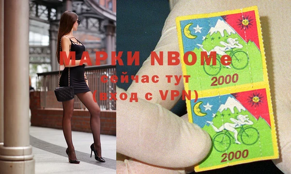 крисы Белокуриха