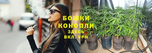 молекула духа Горняк