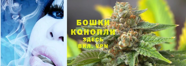крисы Белокуриха